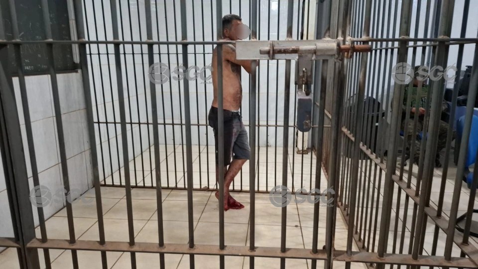 Imagem de Capa