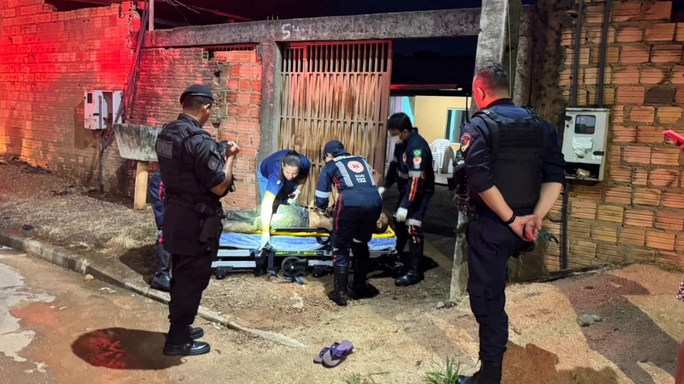 Imagem de Capa