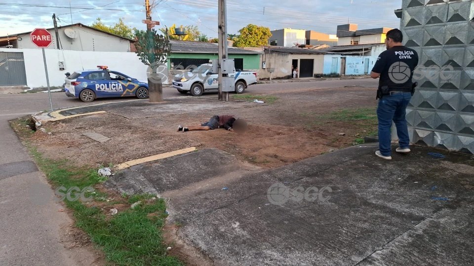 Imagem da Galeria