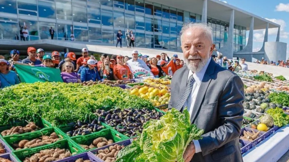 Notícia Relacionada
