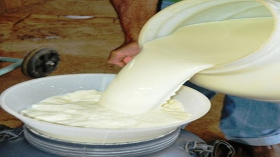 Imagem de Capa