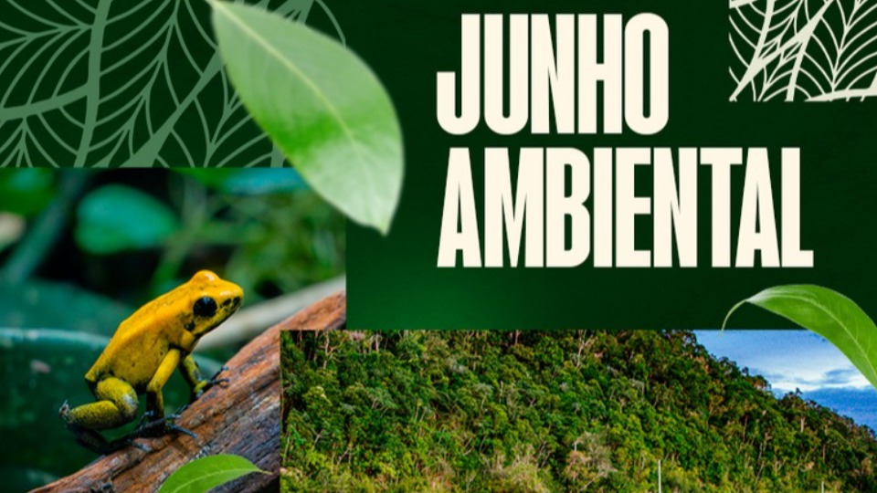 Imagem Editoria