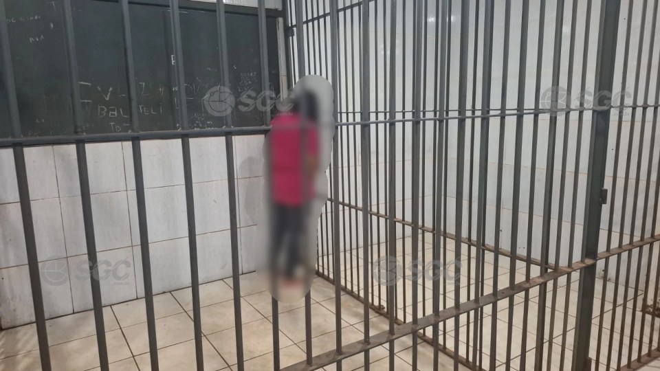 Imagem da Galeria