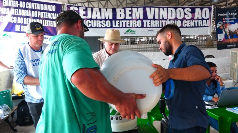 Imagem da Galeria