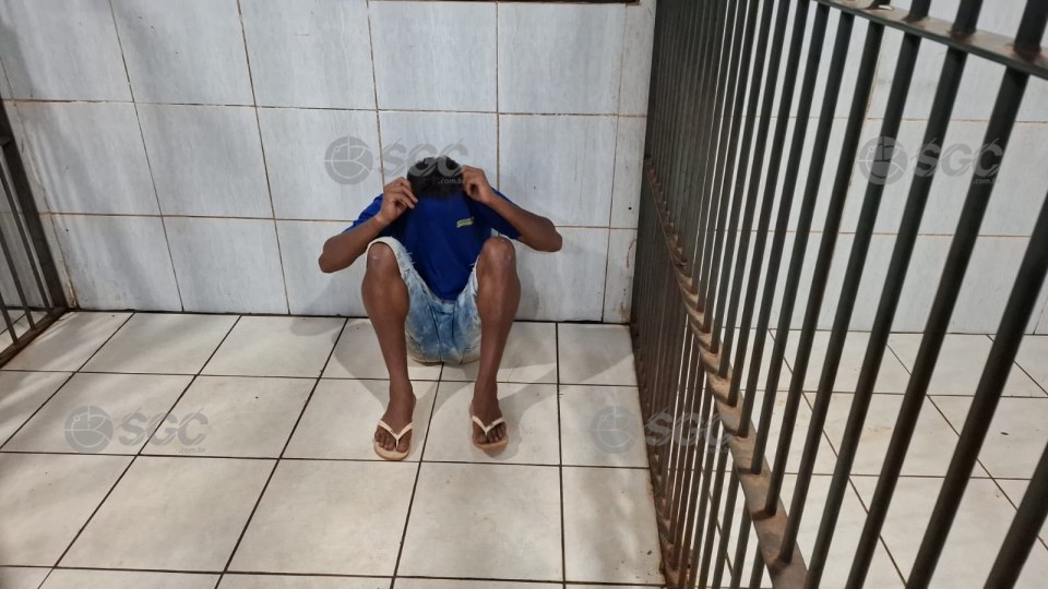 Imagem da Galeria