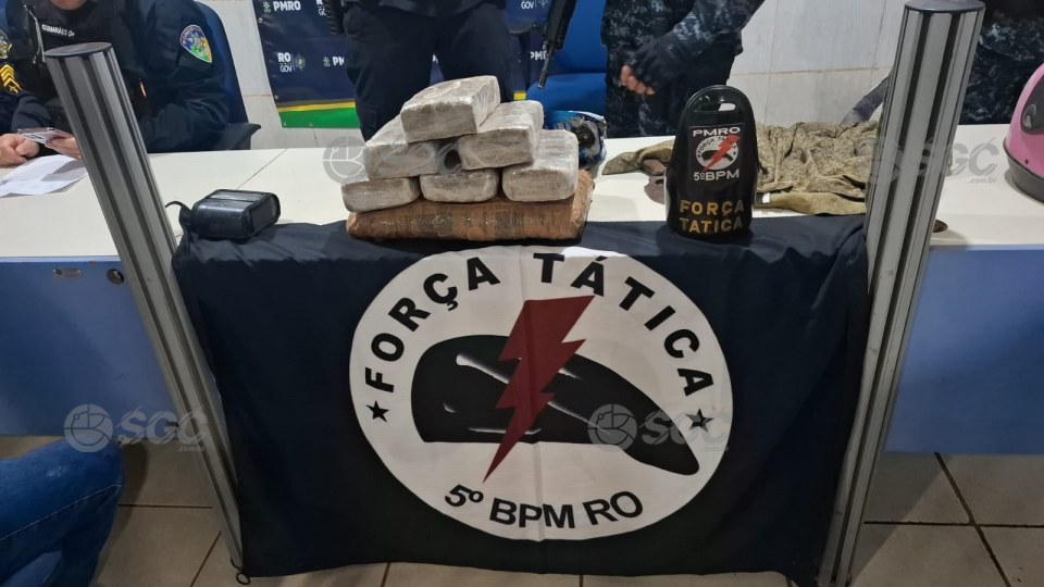 Imagem da Galeria