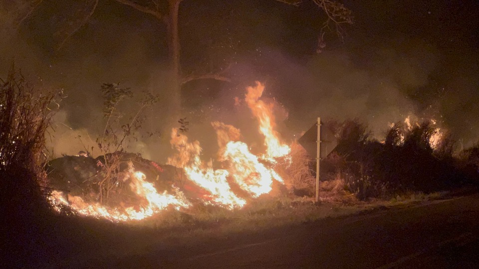 Imagem de Capa