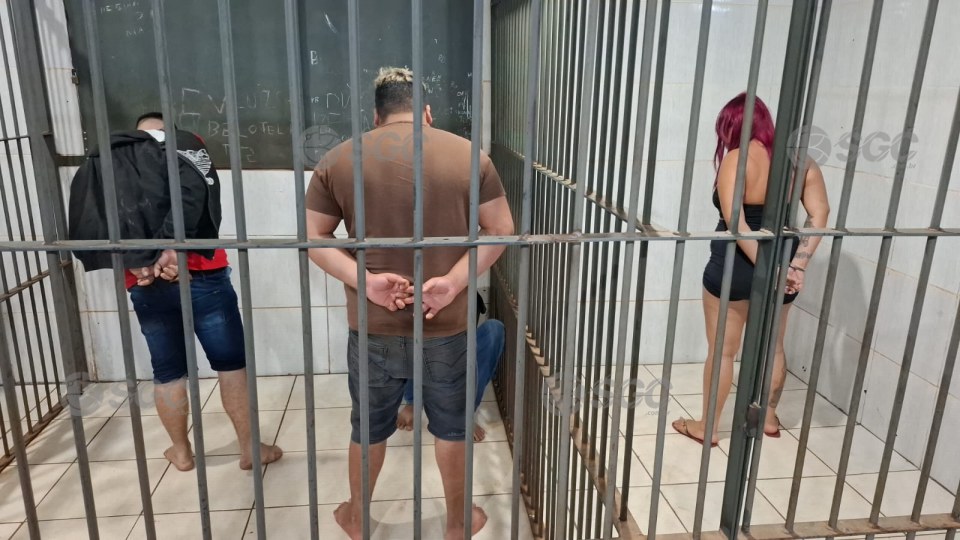 Imagem da Galeria