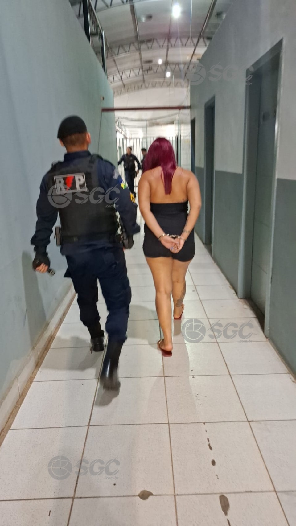 Imagem da Galeria