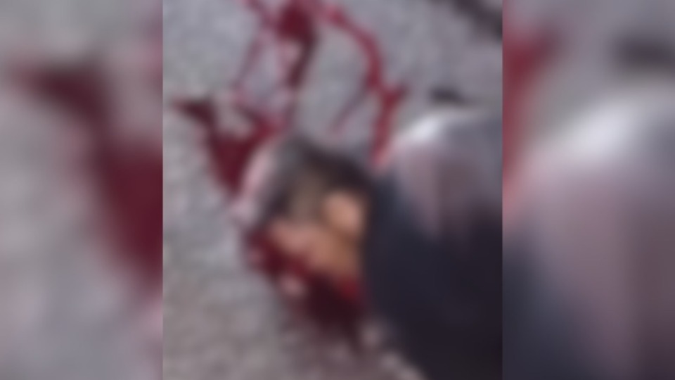 Imagem de Capa
