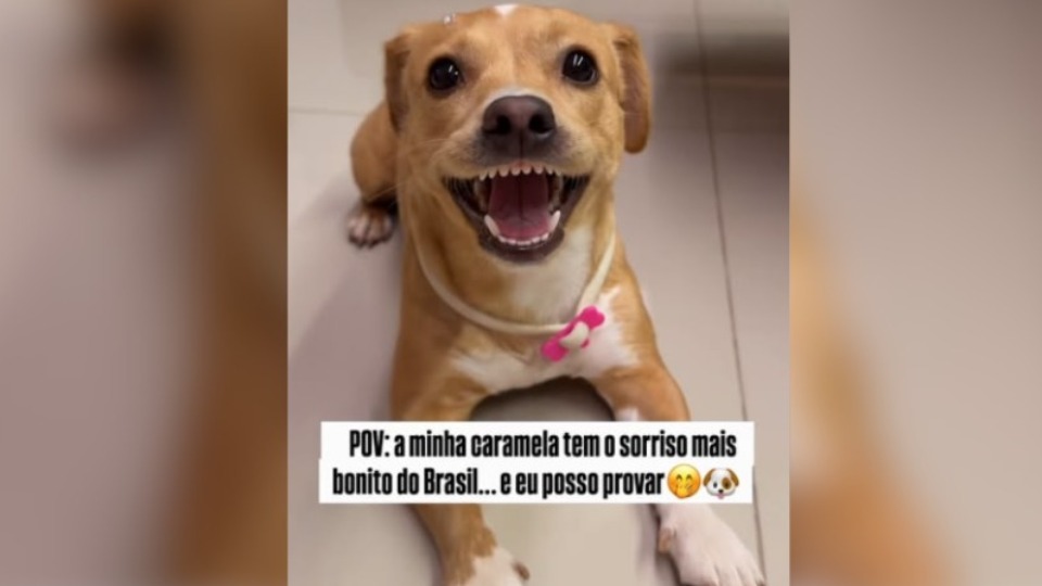 Imagem Editoria