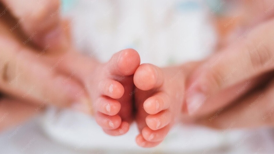 Imagem de Capa